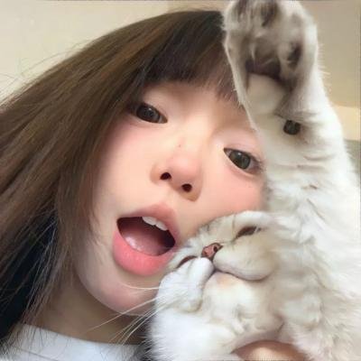 熊猫与你,滚滚而来!