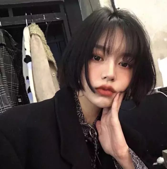 去野吧!毛孩子